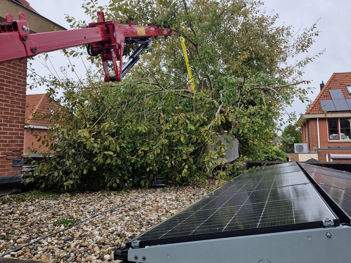 Minikraan tilt een boom over het dak en de zonnepanelen in Spanbroek